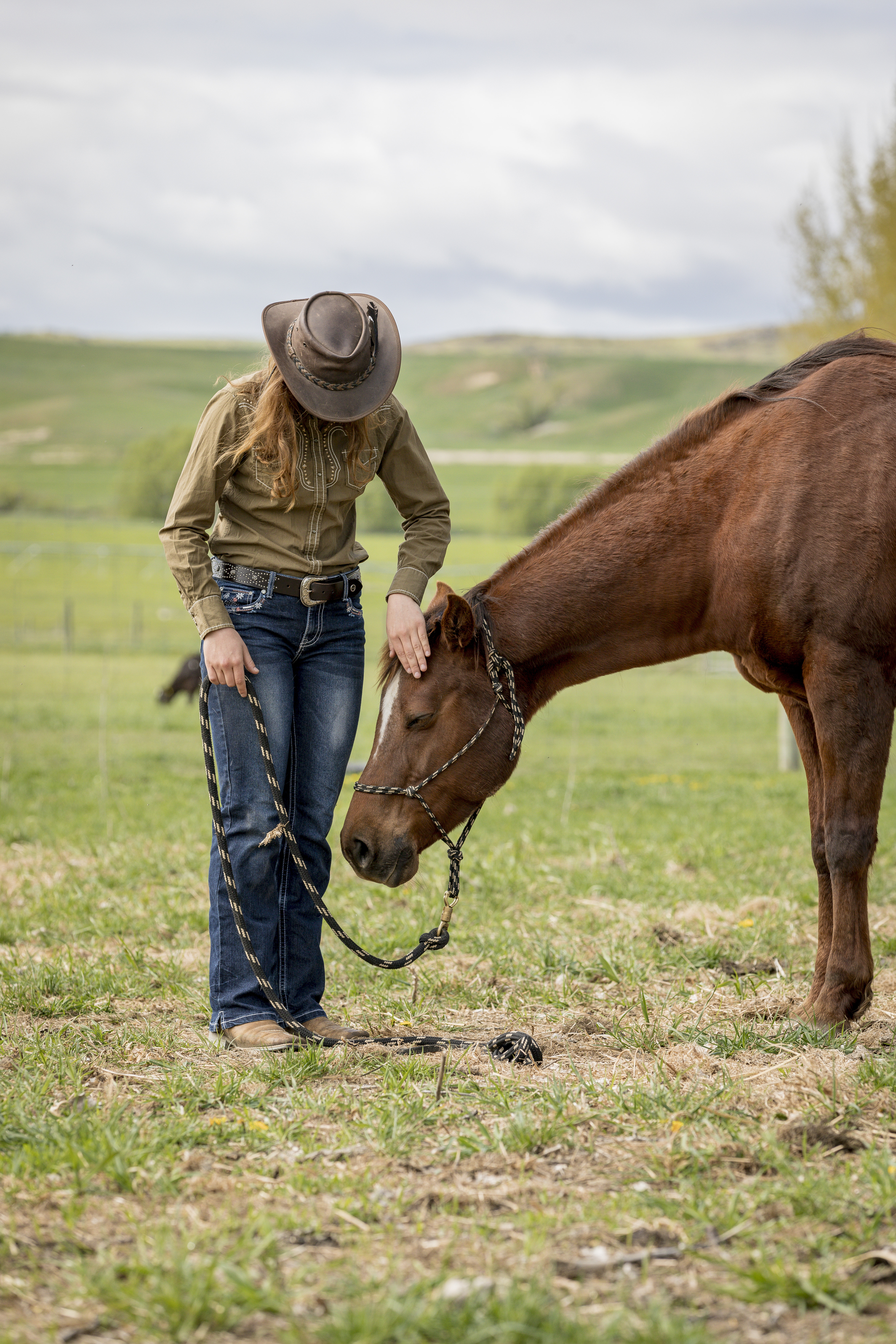 Equine Partnership